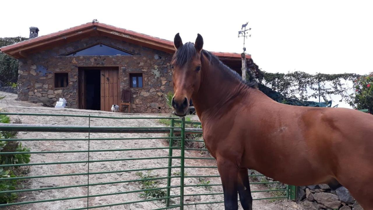 Finca Rural House Tenerife Relax And Enjoy Santa Úrsula Екстериор снимка