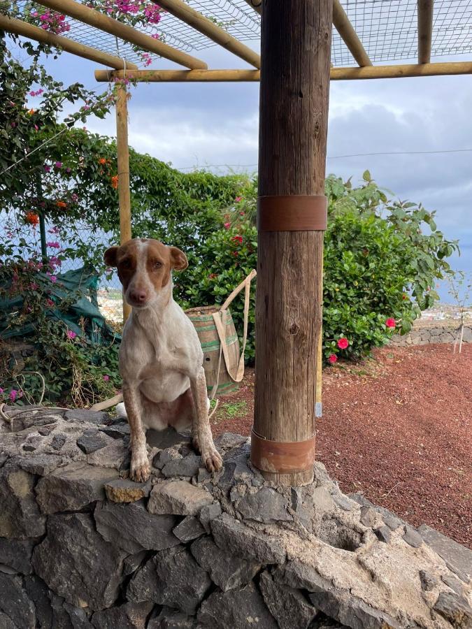 Finca Rural House Tenerife Relax And Enjoy Santa Úrsula Екстериор снимка