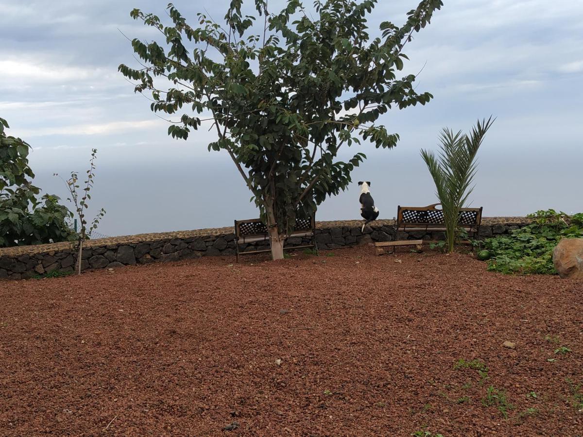 Finca Rural House Tenerife Relax And Enjoy Santa Úrsula Екстериор снимка