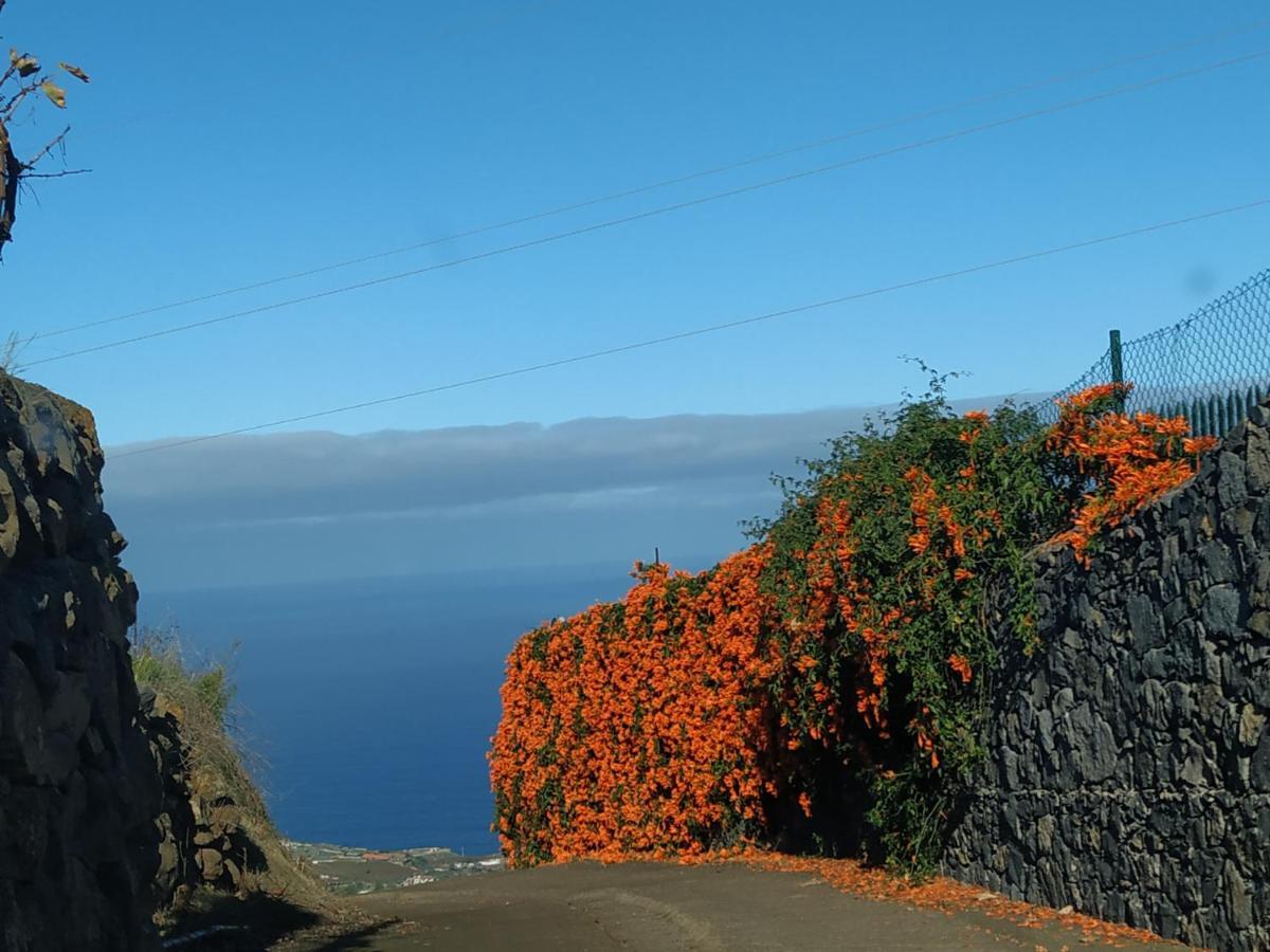 Finca Rural House Tenerife Relax And Enjoy Santa Úrsula Екстериор снимка