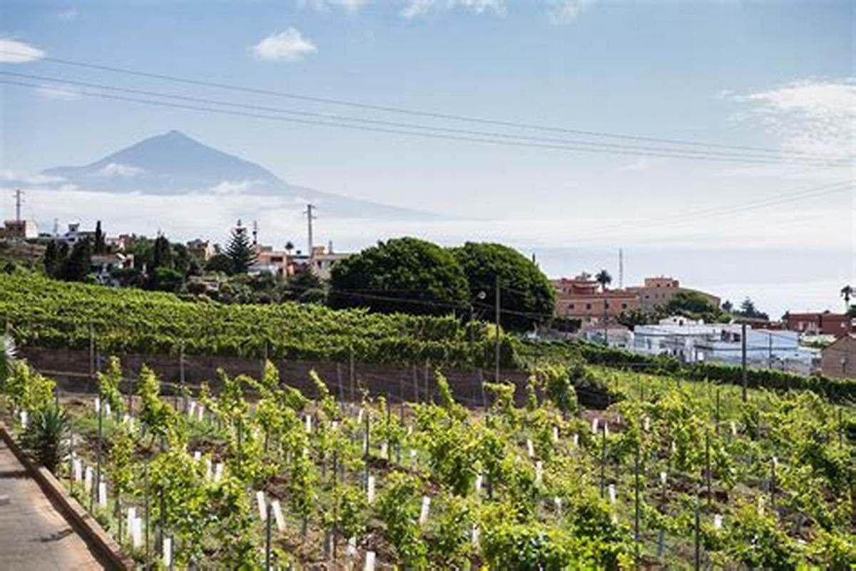 Finca Rural House Tenerife Relax And Enjoy Santa Úrsula Екстериор снимка