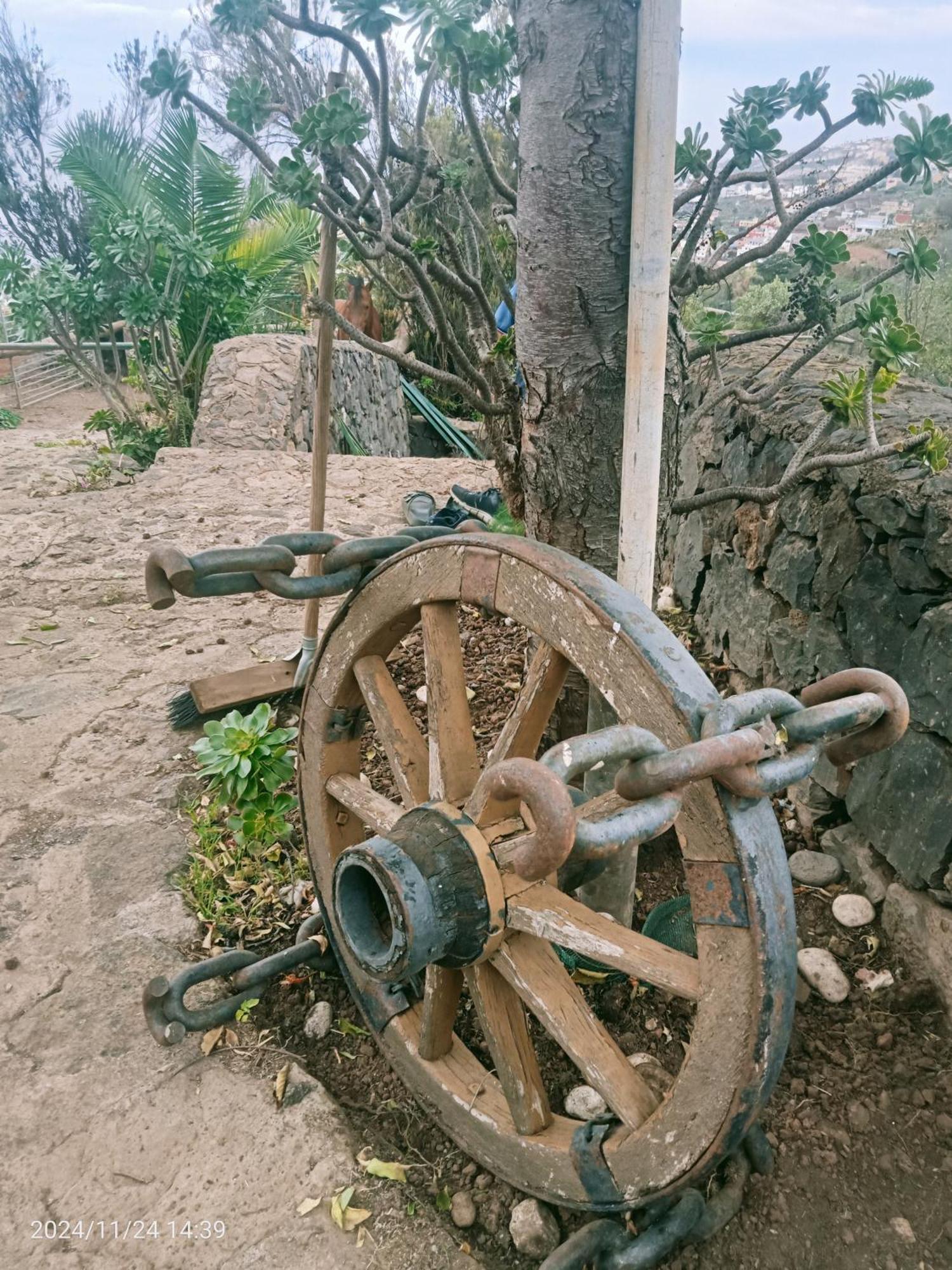 Finca Rural House Tenerife Relax And Enjoy Santa Úrsula Екстериор снимка
