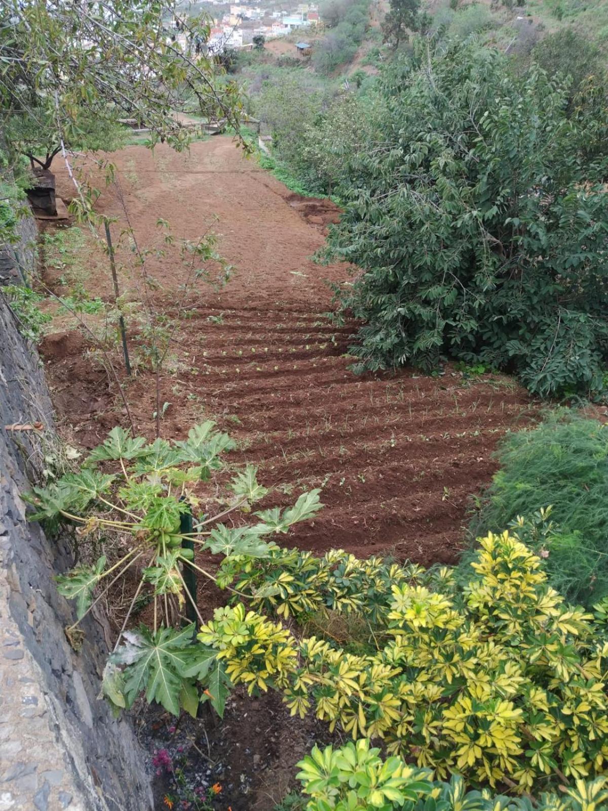 Finca Rural House Tenerife Relax And Enjoy Santa Úrsula Екстериор снимка