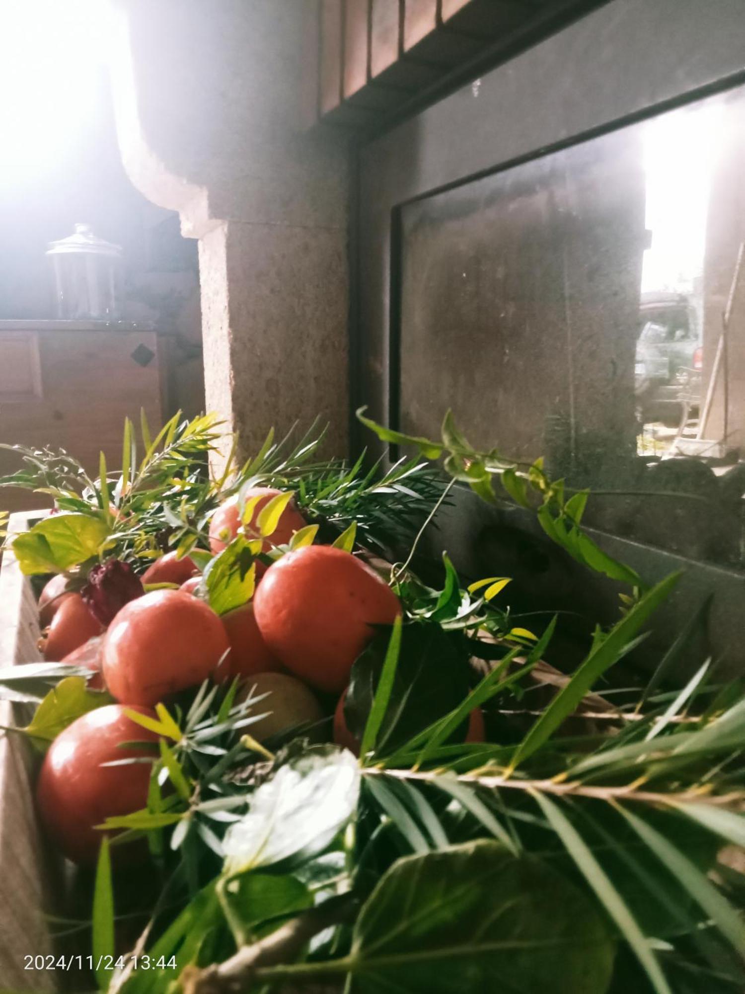Finca Rural House Tenerife Relax And Enjoy Santa Úrsula Екстериор снимка