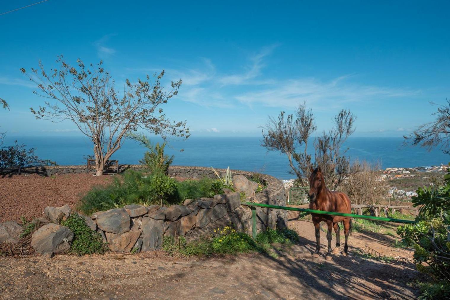 Finca Rural House Tenerife Relax And Enjoy Santa Úrsula Екстериор снимка