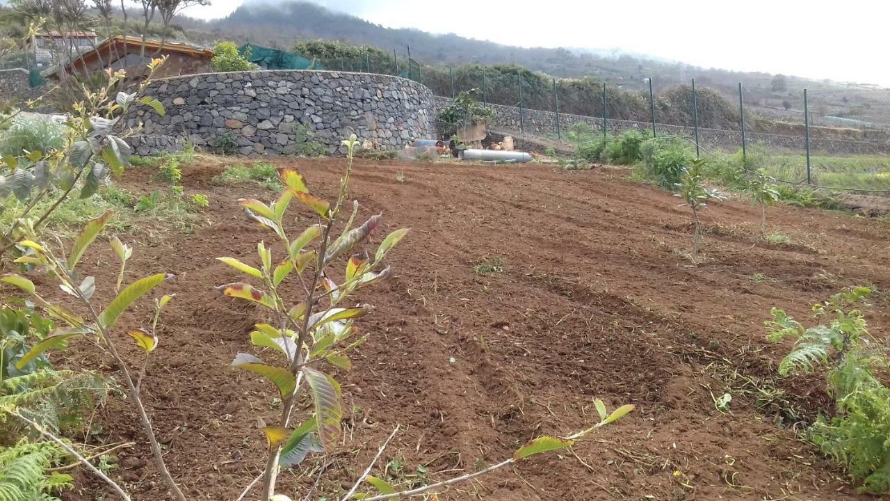 Finca Rural House Tenerife Relax And Enjoy Santa Úrsula Екстериор снимка