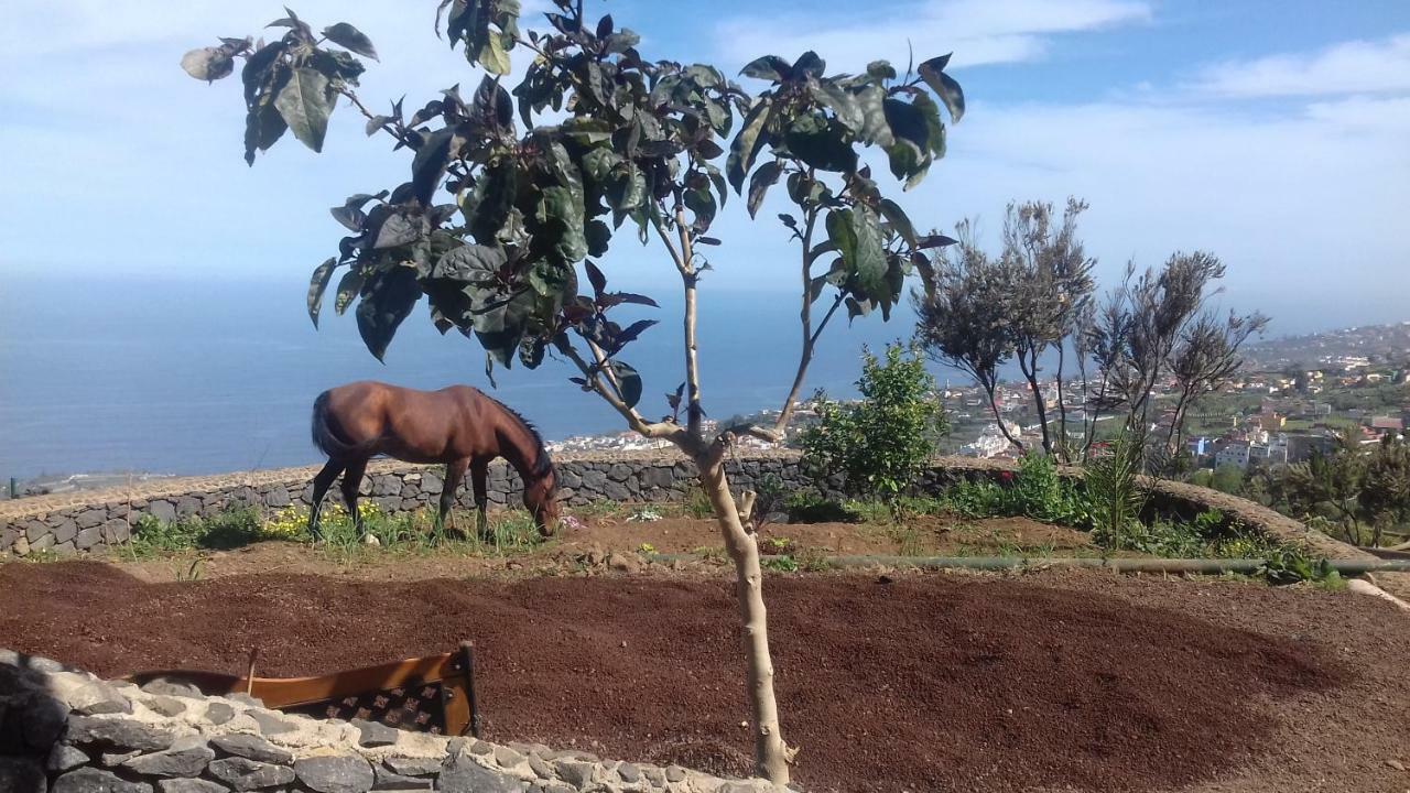 Finca Rural House Tenerife Relax And Enjoy Santa Úrsula Екстериор снимка